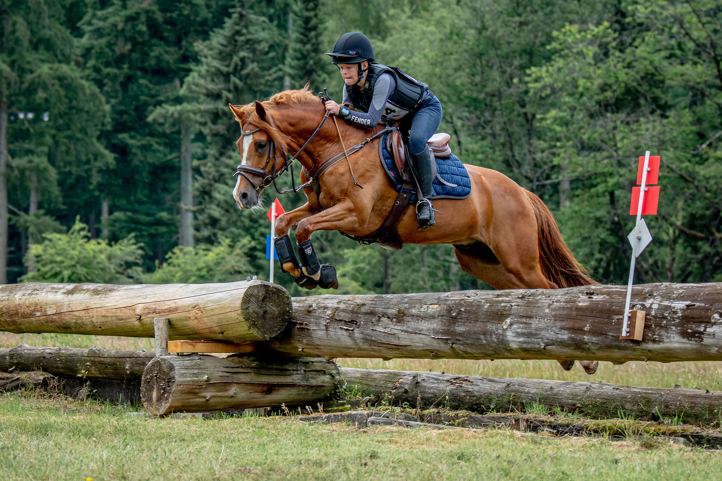 Talent Fender overwint een eventinghindernis samen met zijn paard
