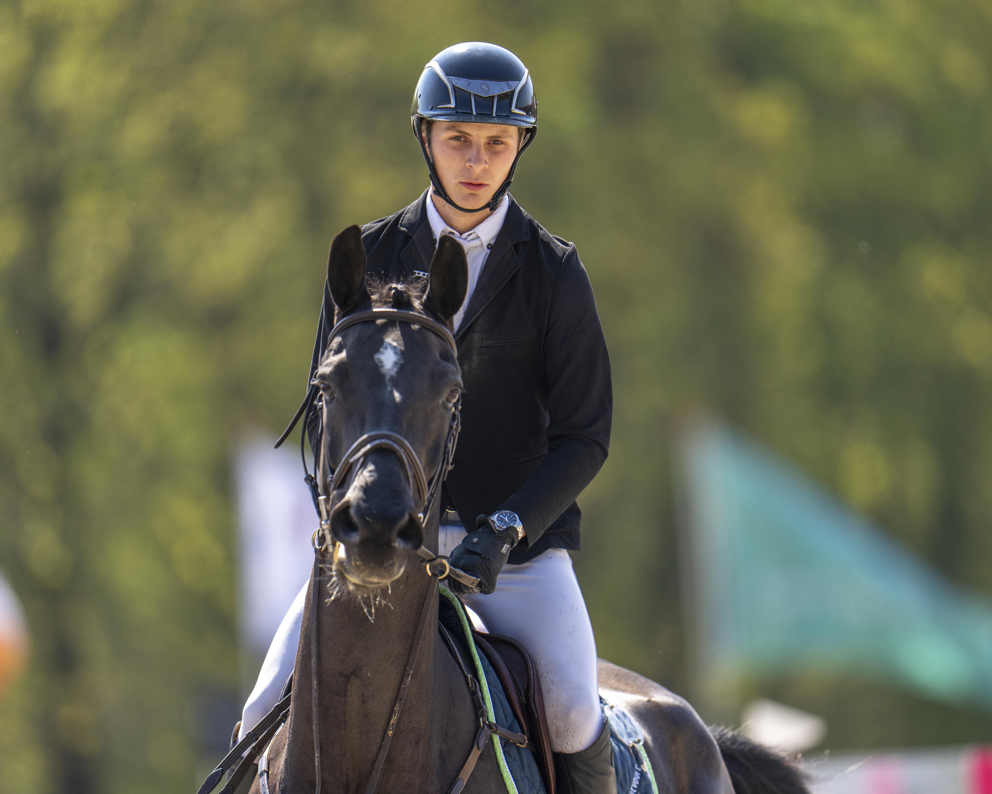 springpaard met de oren naar voren